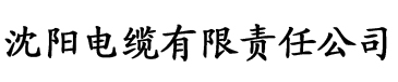 仙人掌嘿呦嘿呦APP网站ios电缆厂logo